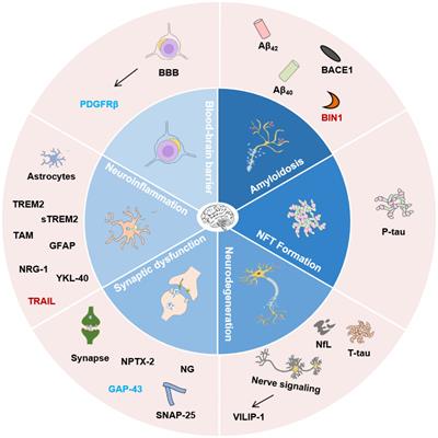 Biofluid biomarkers for Alzheimer’s disease
